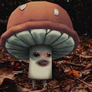 Meet your Posher, Gavin